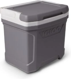 Igloo Profile II 16 - Kleine Koelbox - 15 Liter - Grijs -Buiten Kamperen 1074x1200 2