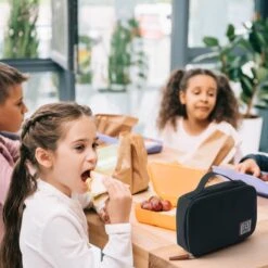 Brisby 4 Laags Geïsoleerde Koeltas - Lunchtas 1.5 Liter - Zwart -Buiten Kamperen 1200x1200 368